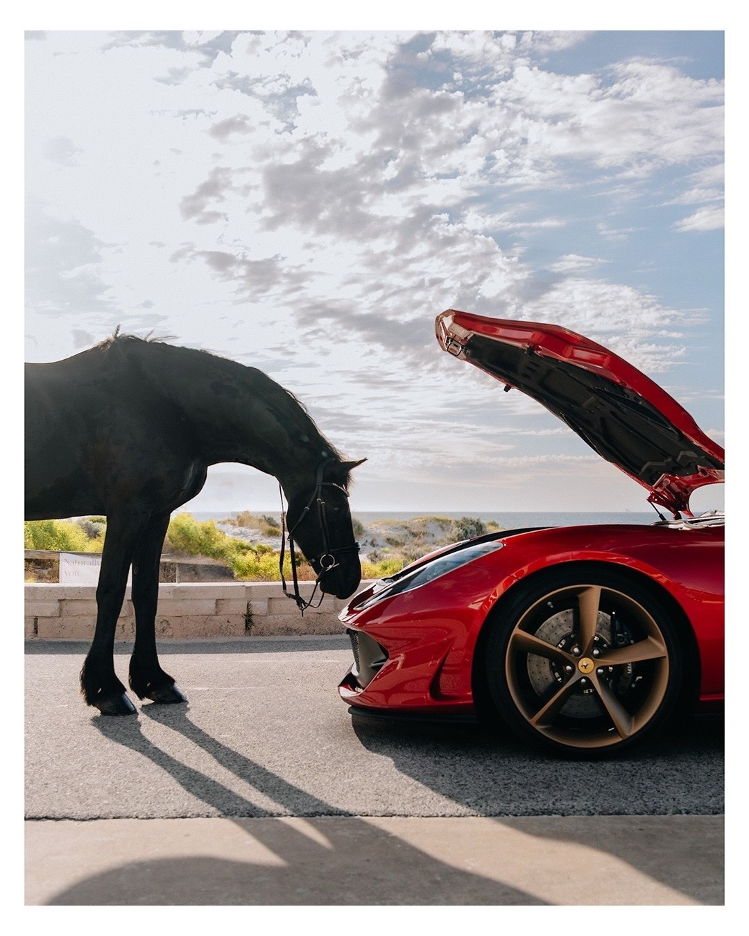 大胆尝试，否则回家——今日初五迎财神法拉利812GTS马年祝福大家马到成功