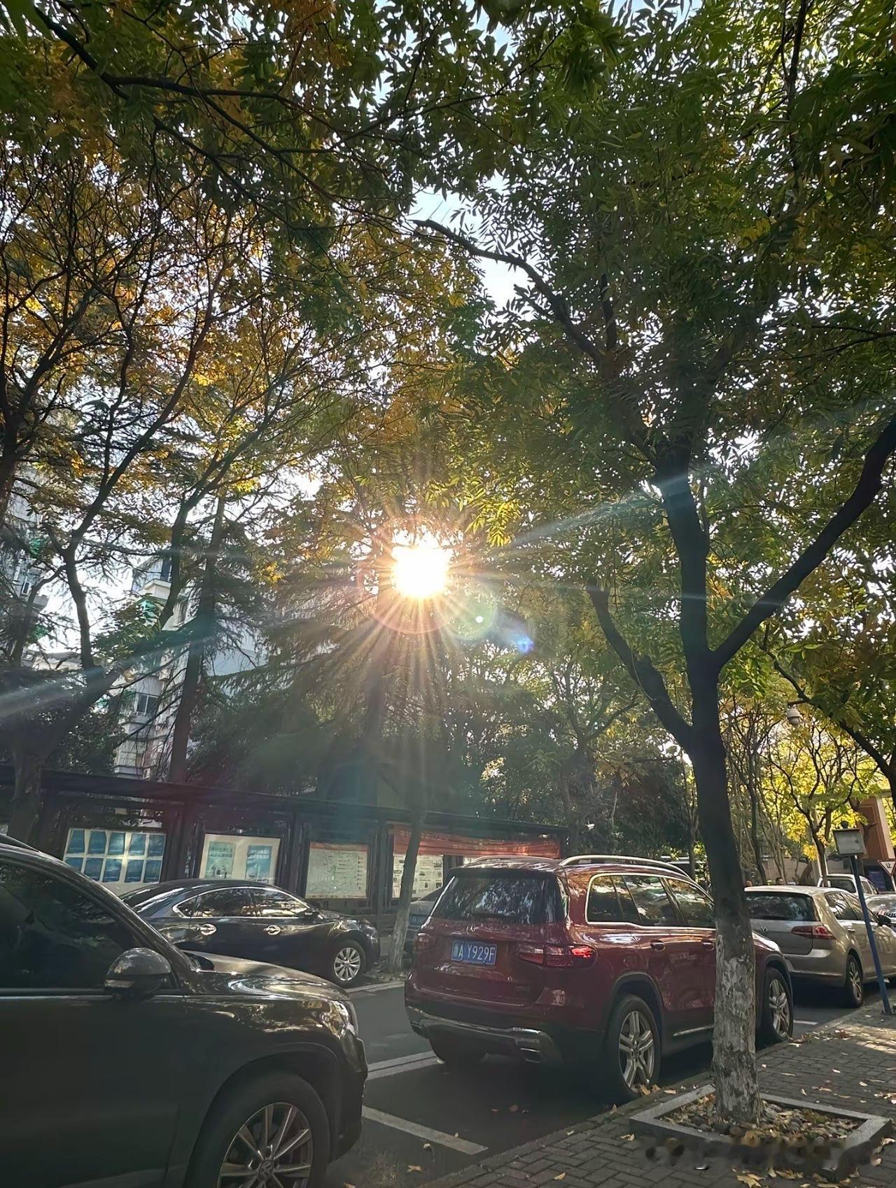 真狠啊！真狠啊！只给英国实体留下了一英镑，向新加坡转走了6.24亿英镑。