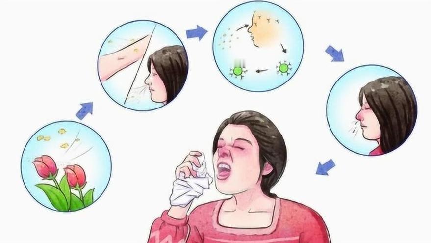 玉屏风散的“好搭档！”堪称孩子鼻炎的“摧毁器，”脾肺强了，鼻炎就能断根了！孩