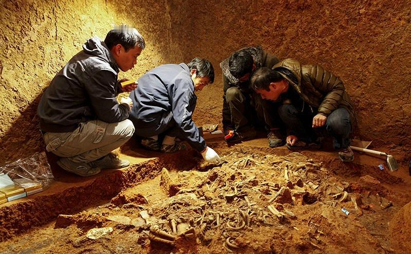 2000年，一伙盗墓分子潜入湖北钟祥境内。深夜时分，一声巨响打破沉寂，一座明代古