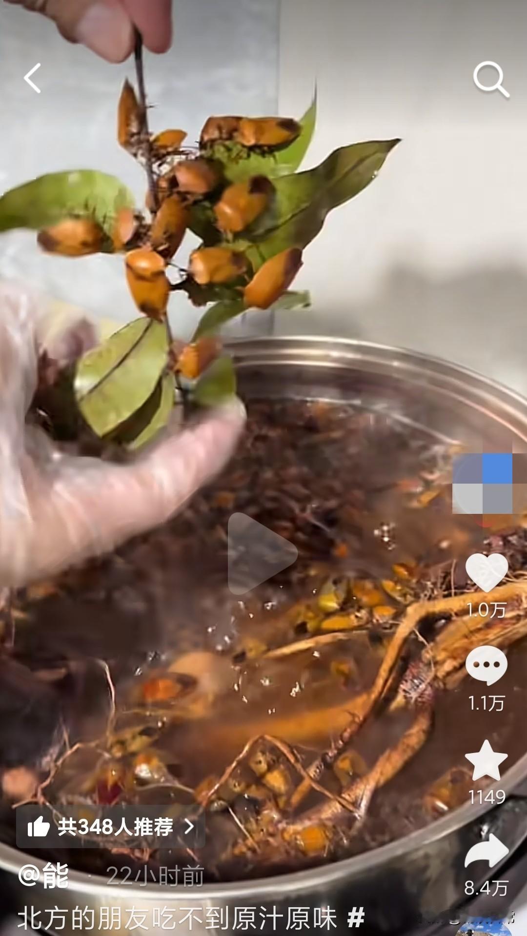 广东人说北方的朋友吃不到原味，北方的朋友你们知道广东的朋友，他们吃的这个是叫什么