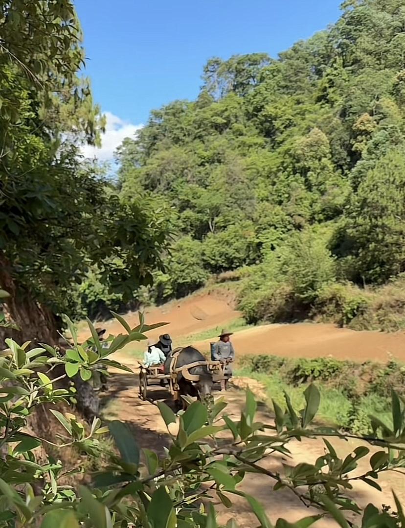 小时候生活在农村，小姨和二姨嫁到城市了，每次回来都带稀奇的小玩意和好吃的，某天我