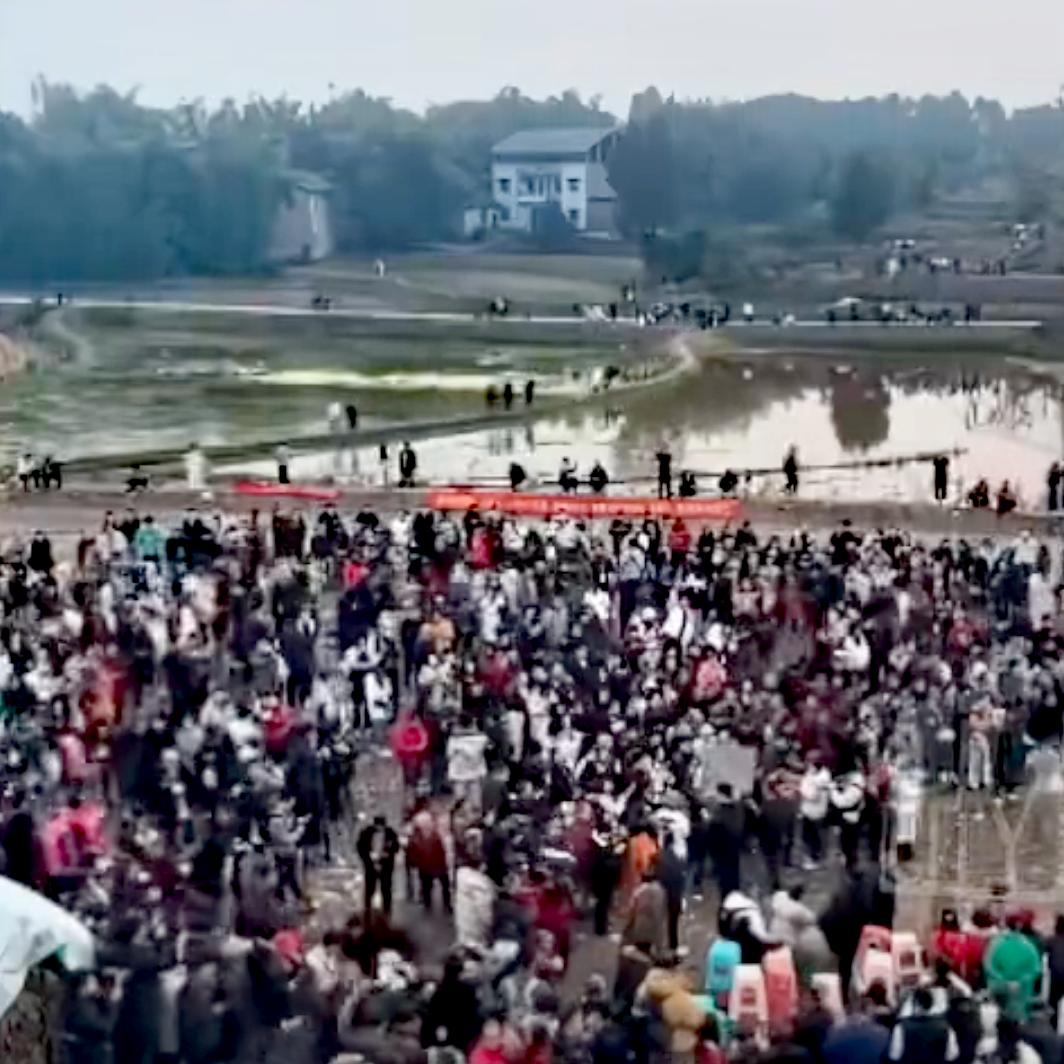 重庆姑娘一句"求帮按年猪"，引万人奔赴！这波流量密码，90%的人没看懂谁能想到