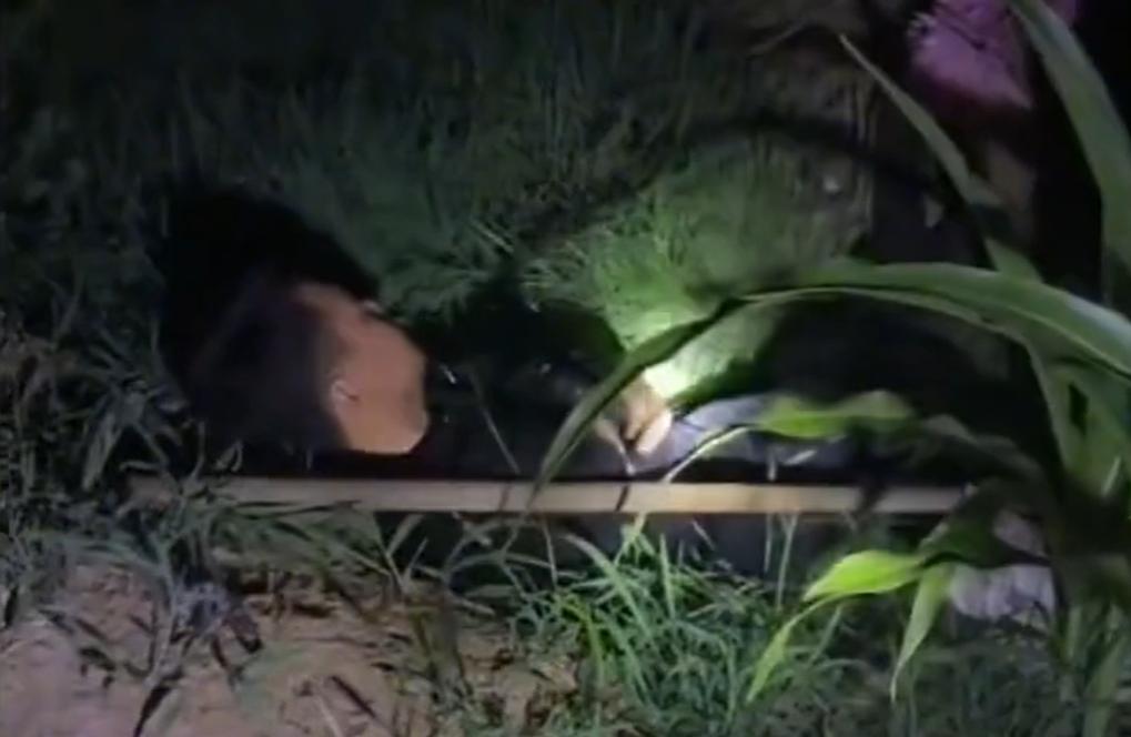 看哭了！河北，一女子和丈夫半夜去地里浇水，女子却突然找不到丈夫的声音，找了一圈，