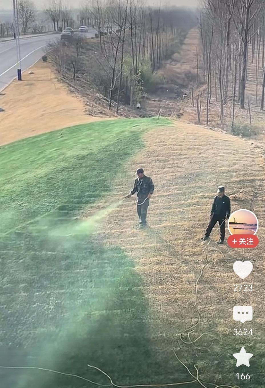 草坪没草，一喷就有，哎！这种形式主义作风，何时才能消失？