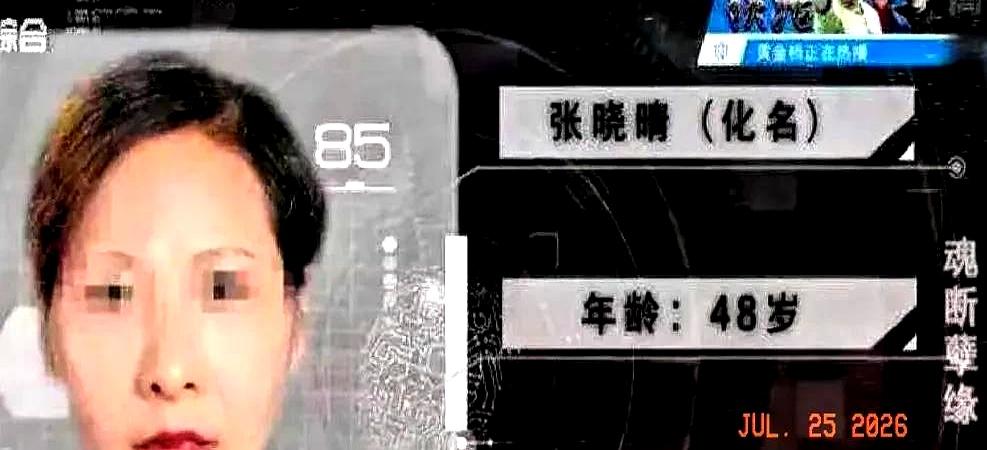 上海郊外那阵风吹得人发冷时，48岁的她被情人送到偏远地带，车门一关，对方只留下一