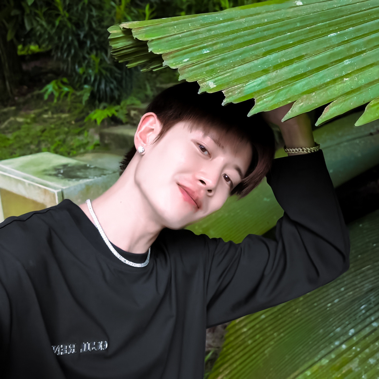 早安，小猪咪😚任嘉伦