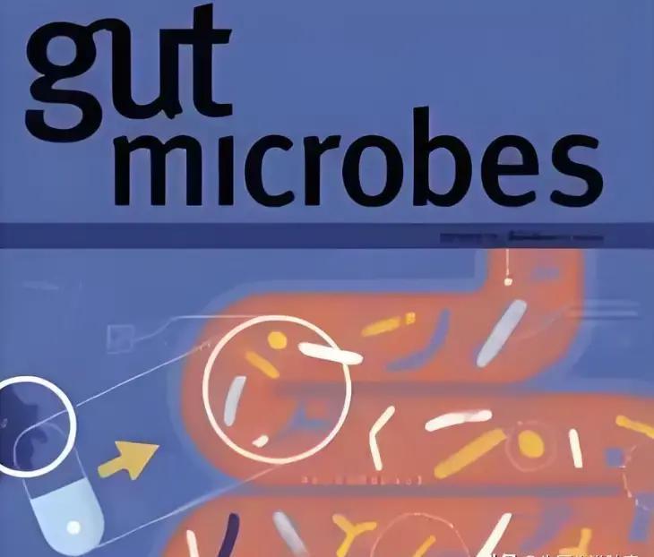 日本发现抗癌细菌效果奇好，我分析有这几点原因。1.你看日本那个研究，从树