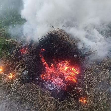 “后悔也来不及了！”2025年3月，广东深圳，一男子和女友分手后，情绪低落来到山