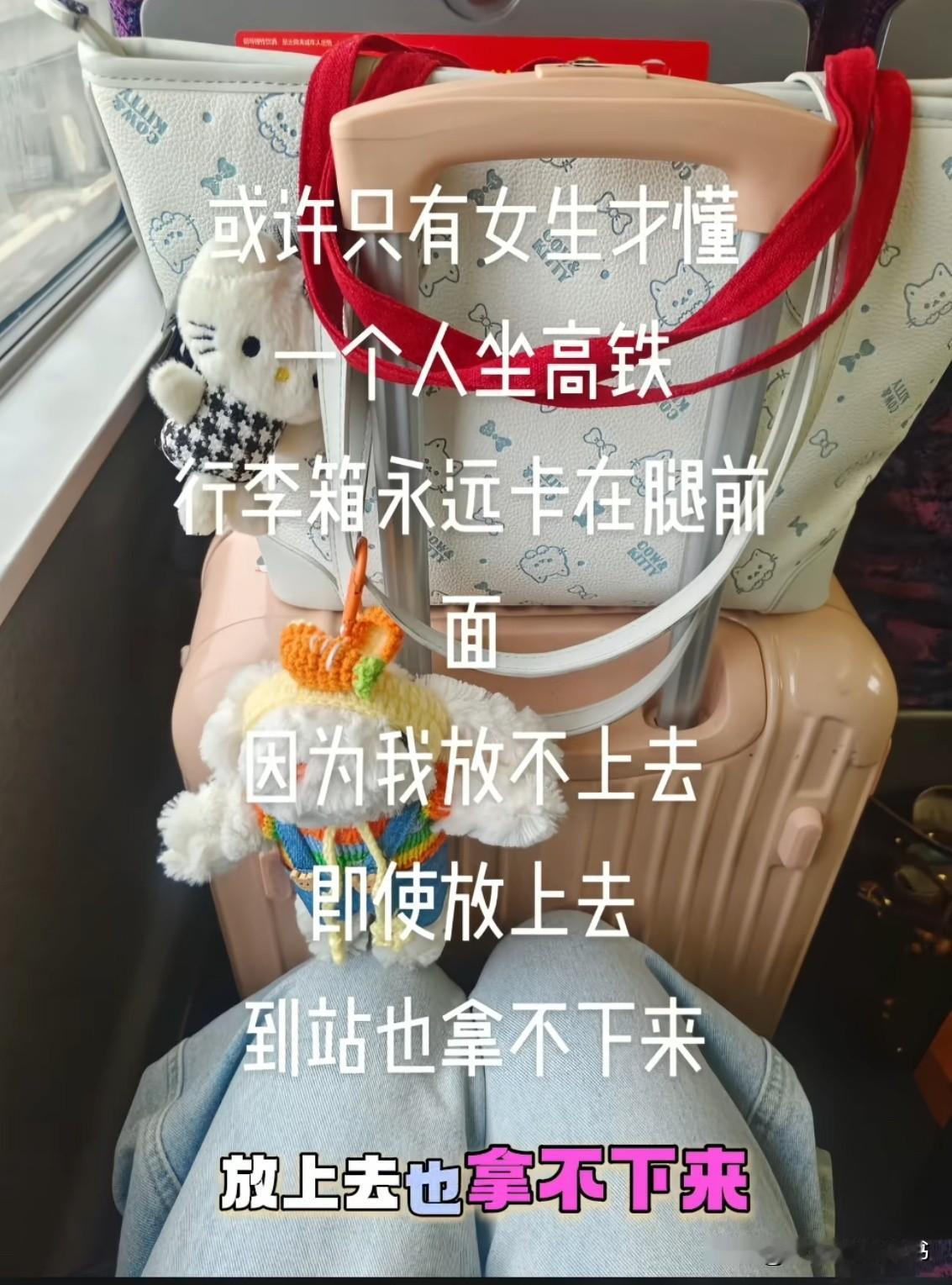 女拳学国外的恶果出来了，行李箱没人帮你拿了，先说一下国外女拳的核心本质是什么？