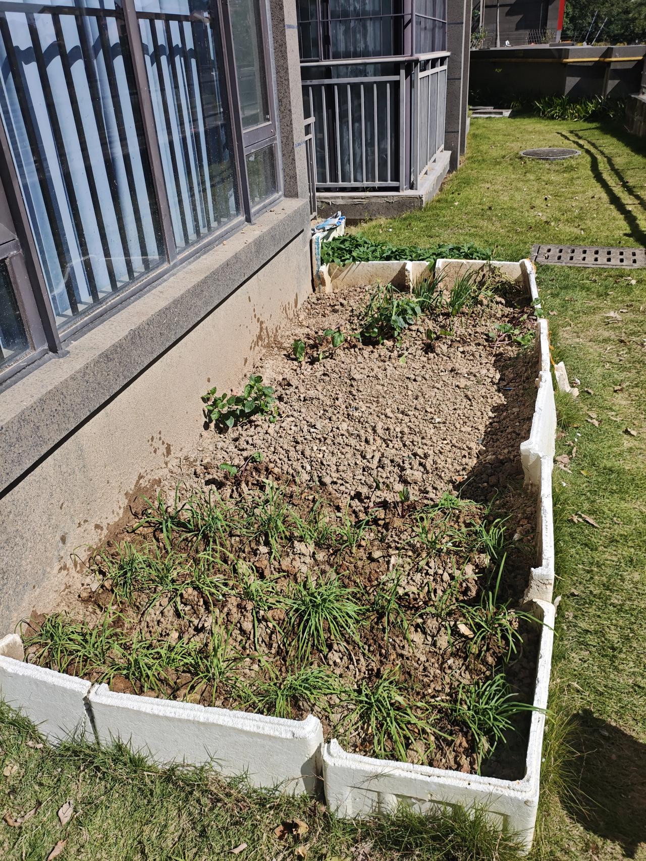 如果有条件的话在小区附近辟一小块地养点花，种点菜一方面可以陶冶情操更重要