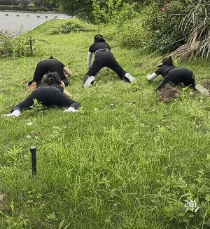 这也是一种成年人的解压方式，不用管形象，主打一个放飞自我!