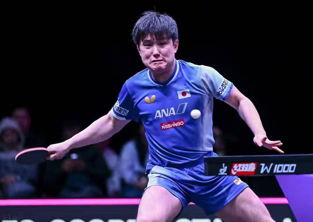 国乒21岁天才出局，张本智和高兴三个小时，最强对手横扫晋级2026年WTT新加坡