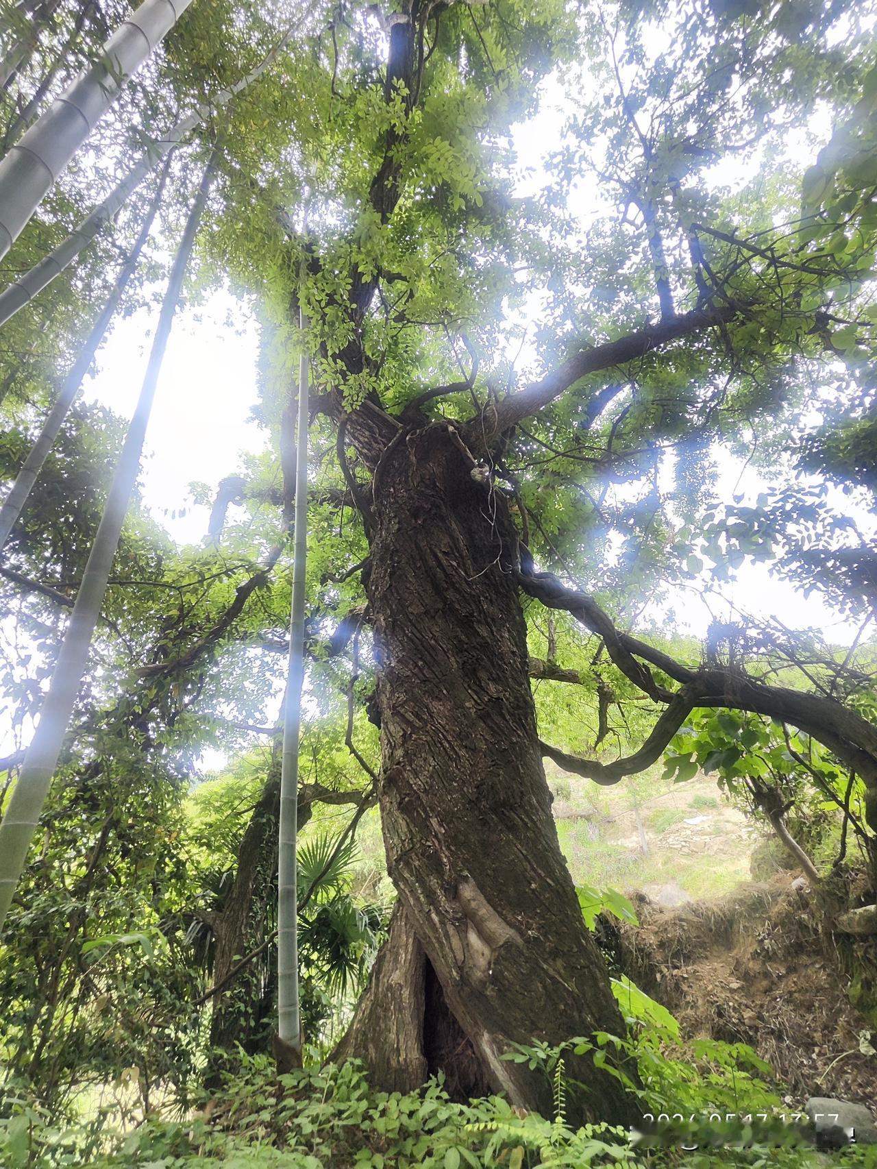 薄情，是一种善良的清醒朋友林姐常被人说“薄情”。去年，她表妹第三次打电话