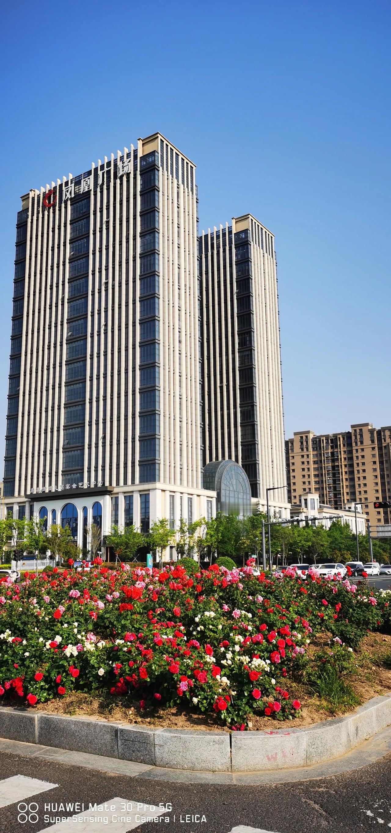 城市印象之江苏连云港。此时此刻，我坐在连云港市某个街心花园，细细感受着这座苏