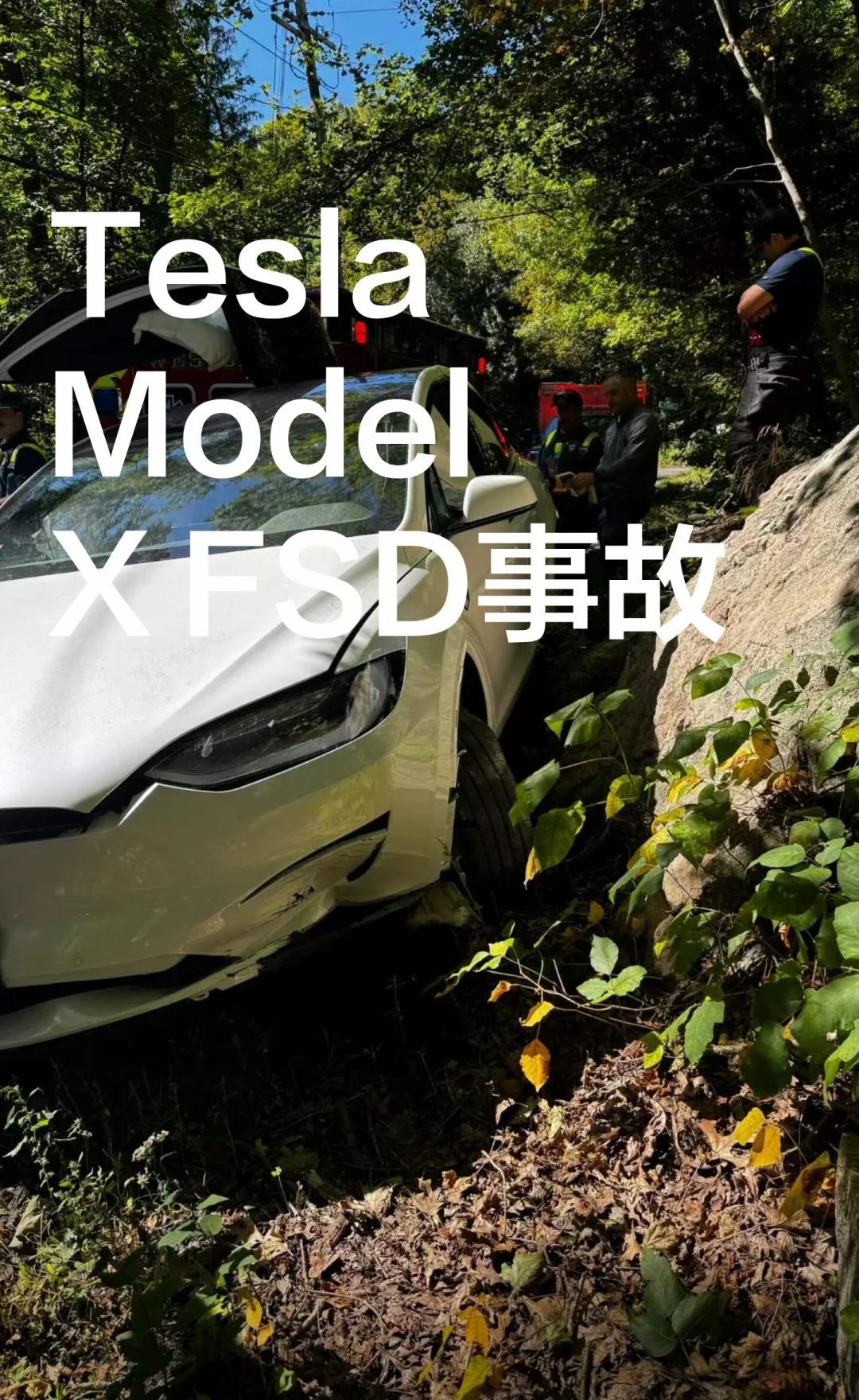 TeslaModelXFSD事故车撞上石头之后，我第一时间想的不是“车坏得
