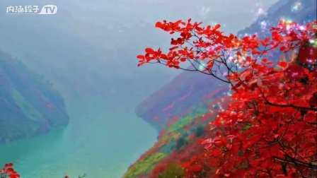 满山红叶似彩霞简谱_满山红叶似彩霞图片