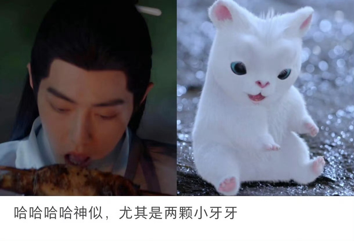 可爱[大笑]​​​