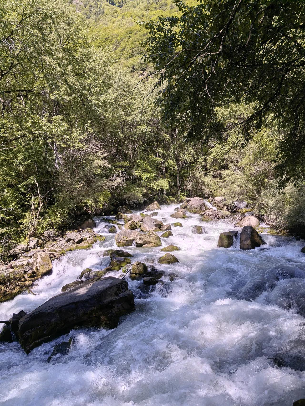 今年又在清凉的松坪沟“发呆”“归隐南山”的第二个年头，终成了一个“吃饭挣钱的