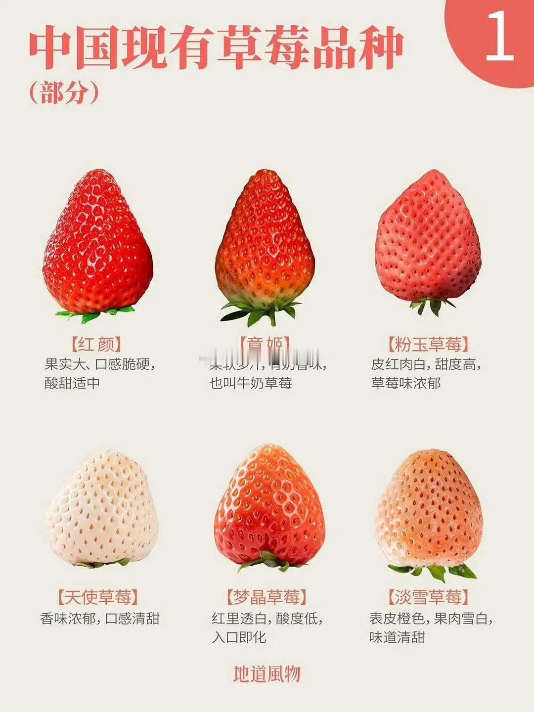 中国现🈶草莓品种～🍓🍓