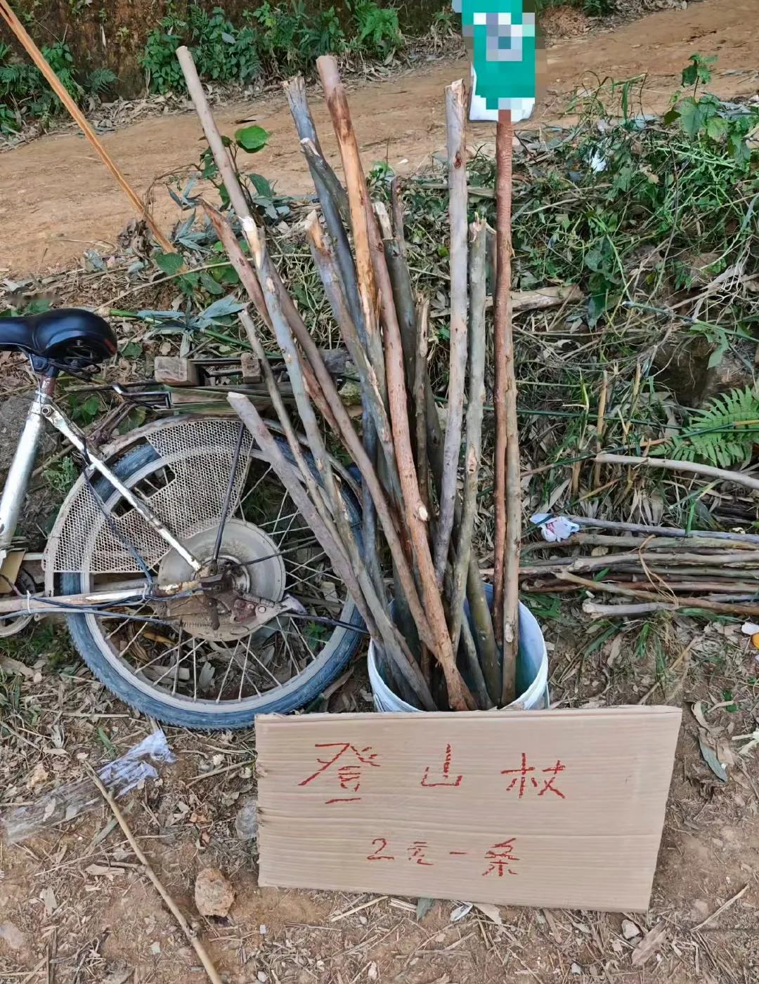网友爆料称：广西南宁某地爬山路口摆放着用木棍做的登山棍子2块钱一根。真是想发财