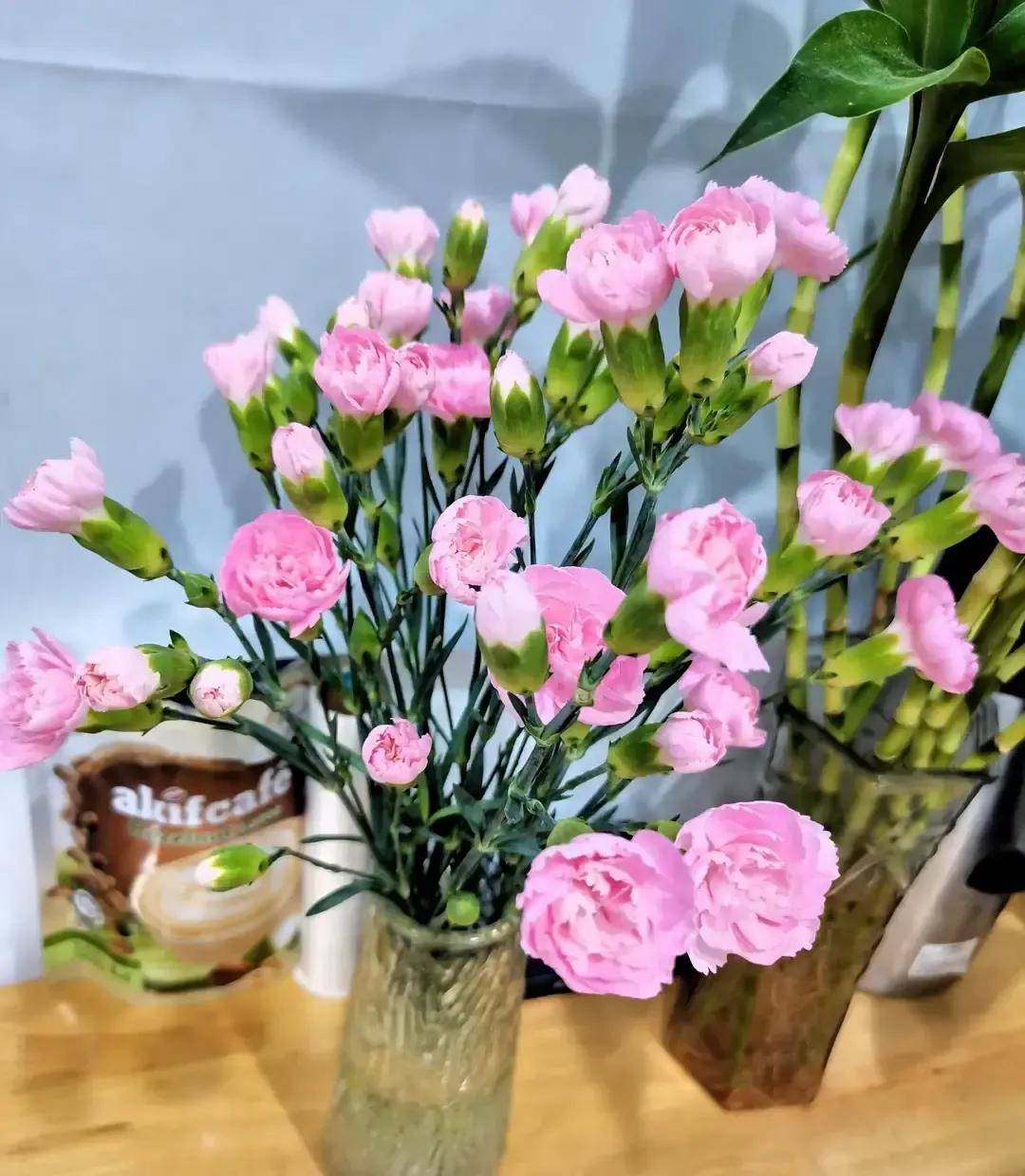 妹妹昨晚发微信说房贷扣款失败，银行短信冷冰冰，她手里只剩买菜钱，只好开口借四千块