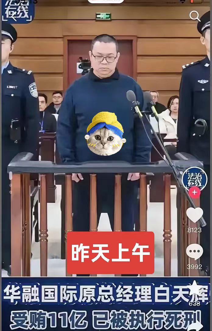 巨贪11个亿的白天辉临刑前妻子问骨灰怎么办？他看也没看妻子说了句“随便”！不知道