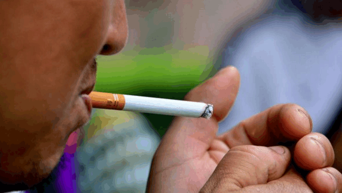 6080295550001400005.jpg?id=0