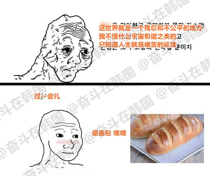 我每天：海外新鲜事热点现场