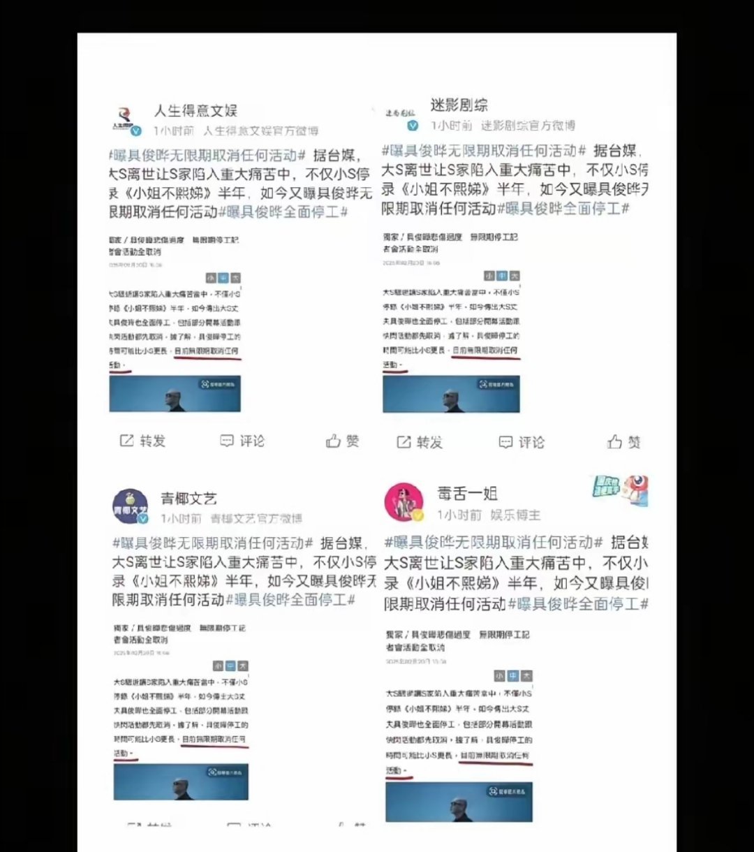 律师莉姐果然厉害，把支持湾湾S家的矩阵舆论战通稿直接挂到网上，现在大家知道汪小