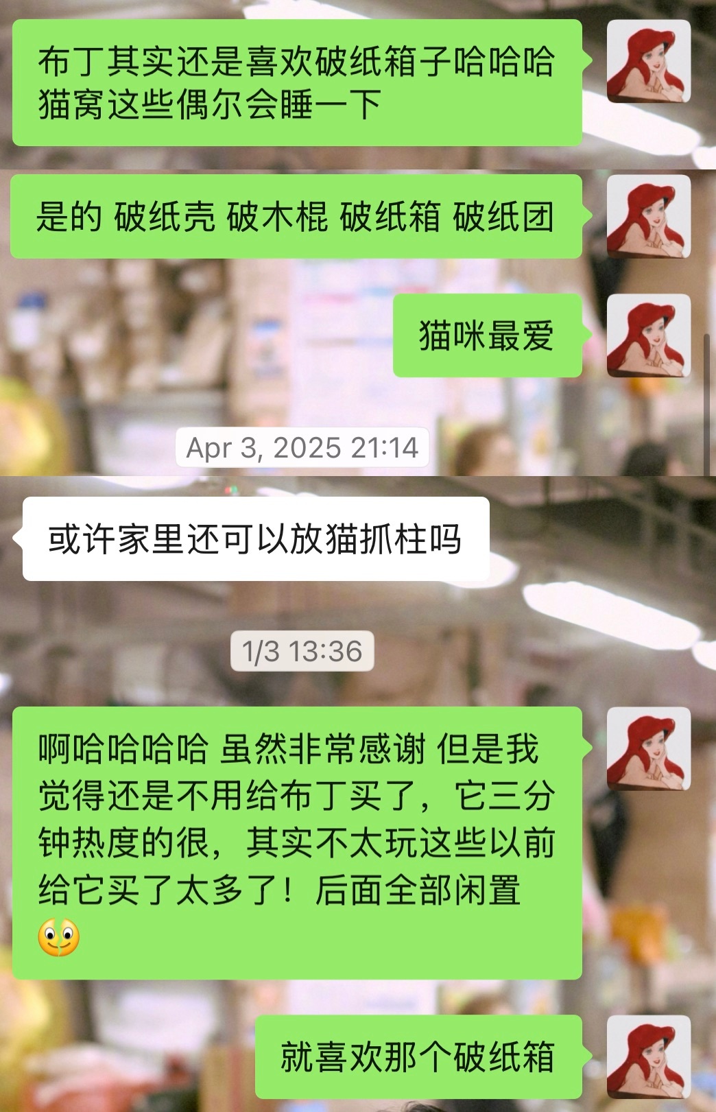 杨洋雨霖铃不是，怎么都三十多集了，还是破房子啊展昭你真的是猫猫啊！我家猫就是那