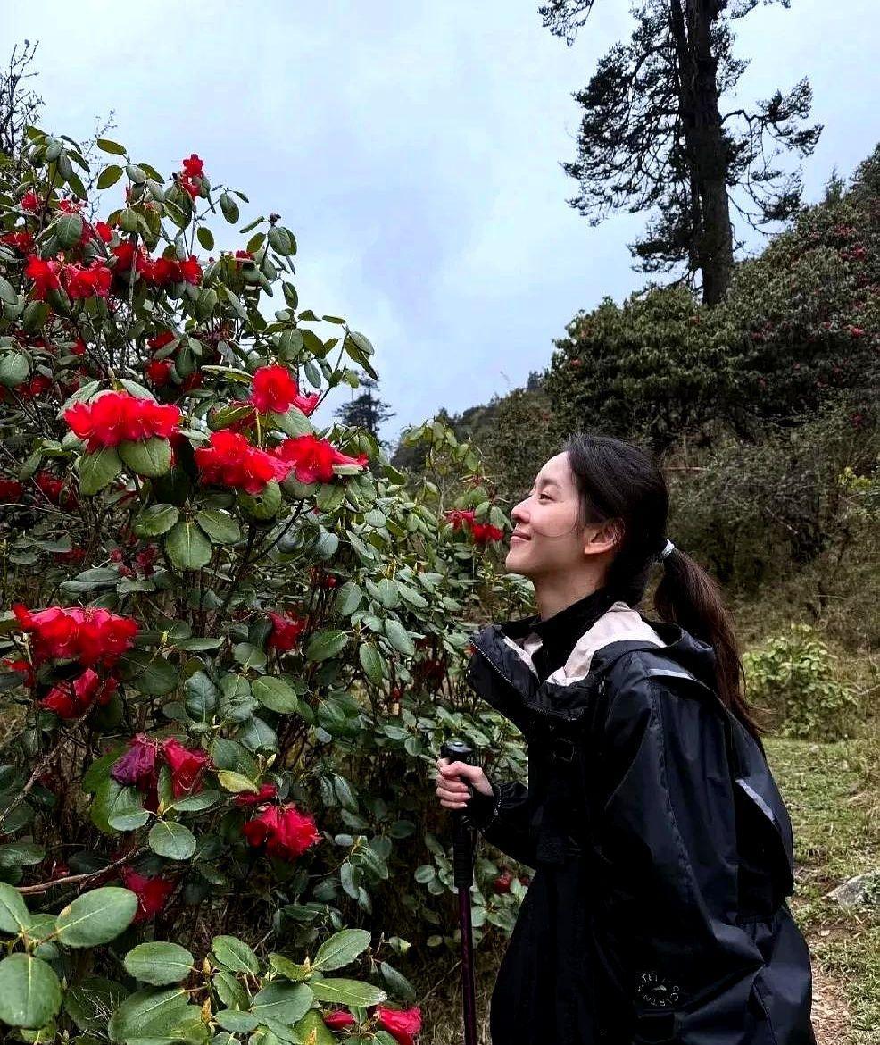 最近章泽天在ins晒的度假照又掀起一波讨论，评论区堪称当代人性观察现场。有人酸