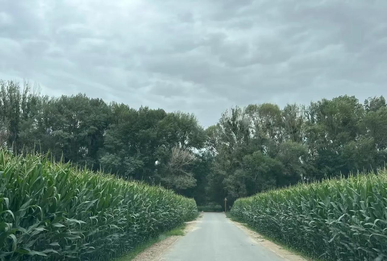 满分作文—《我成为了我自己》站在镜子前，看着那个扎着<em>高马尾</em>、眼神清