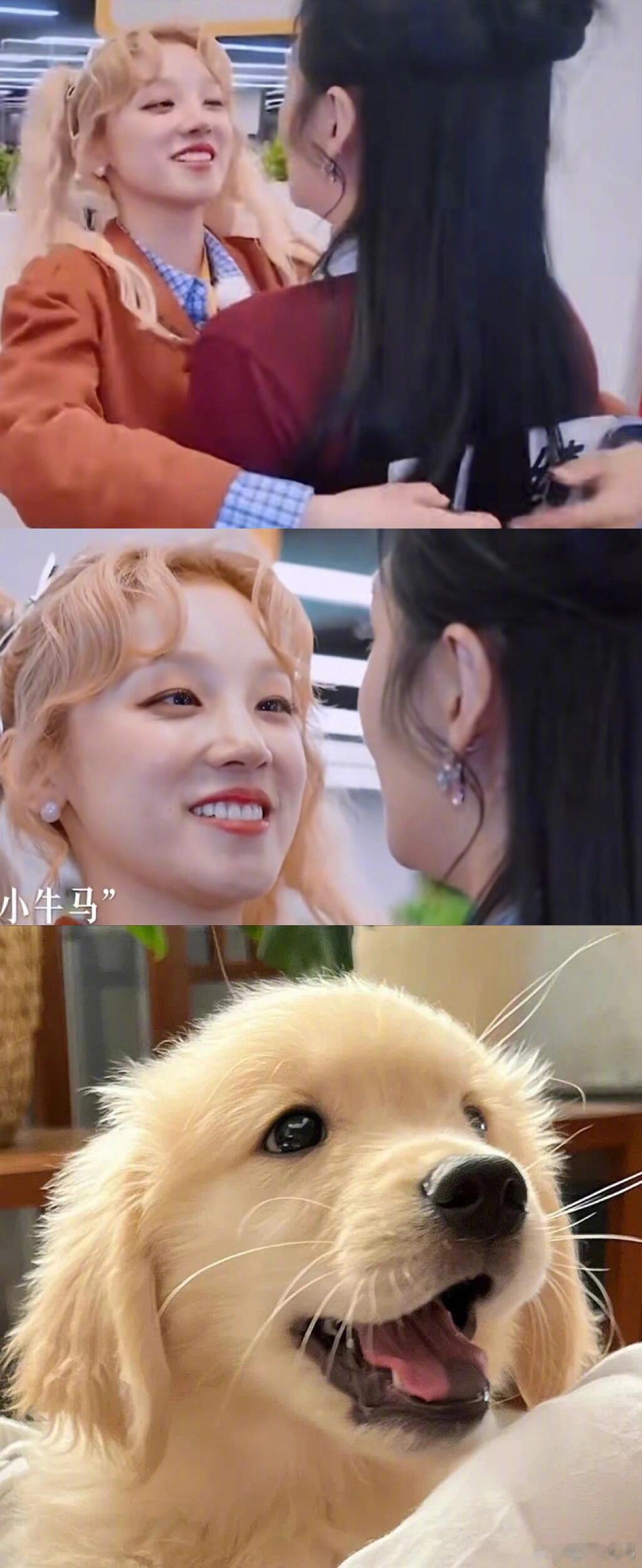 就没有宋雨琦对不上的快乐小狗🐕💖​​​