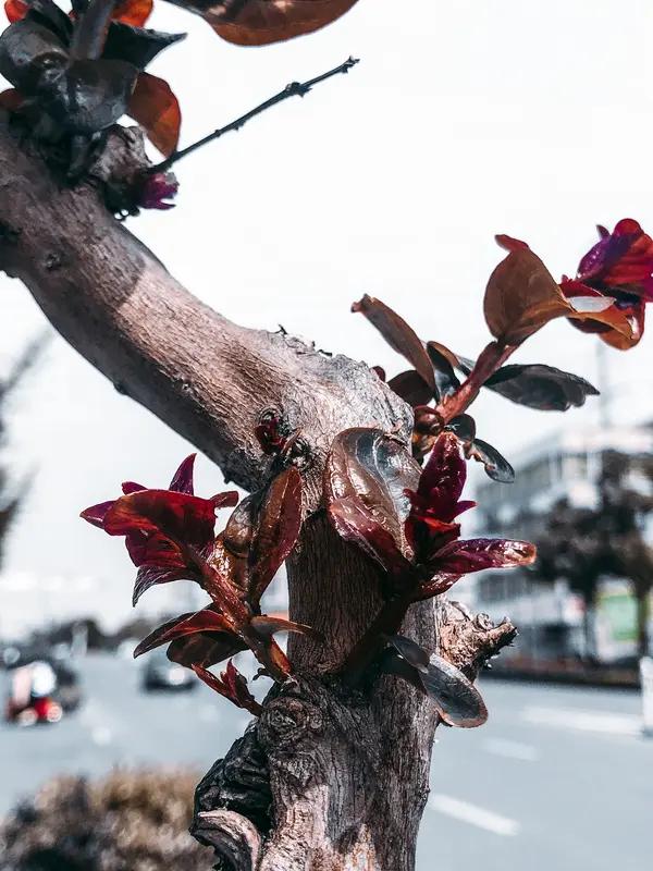 宋代最为动人的一首送别词。结尾连用两个“春”字，一语双关，读来妙不可言。“水是眼