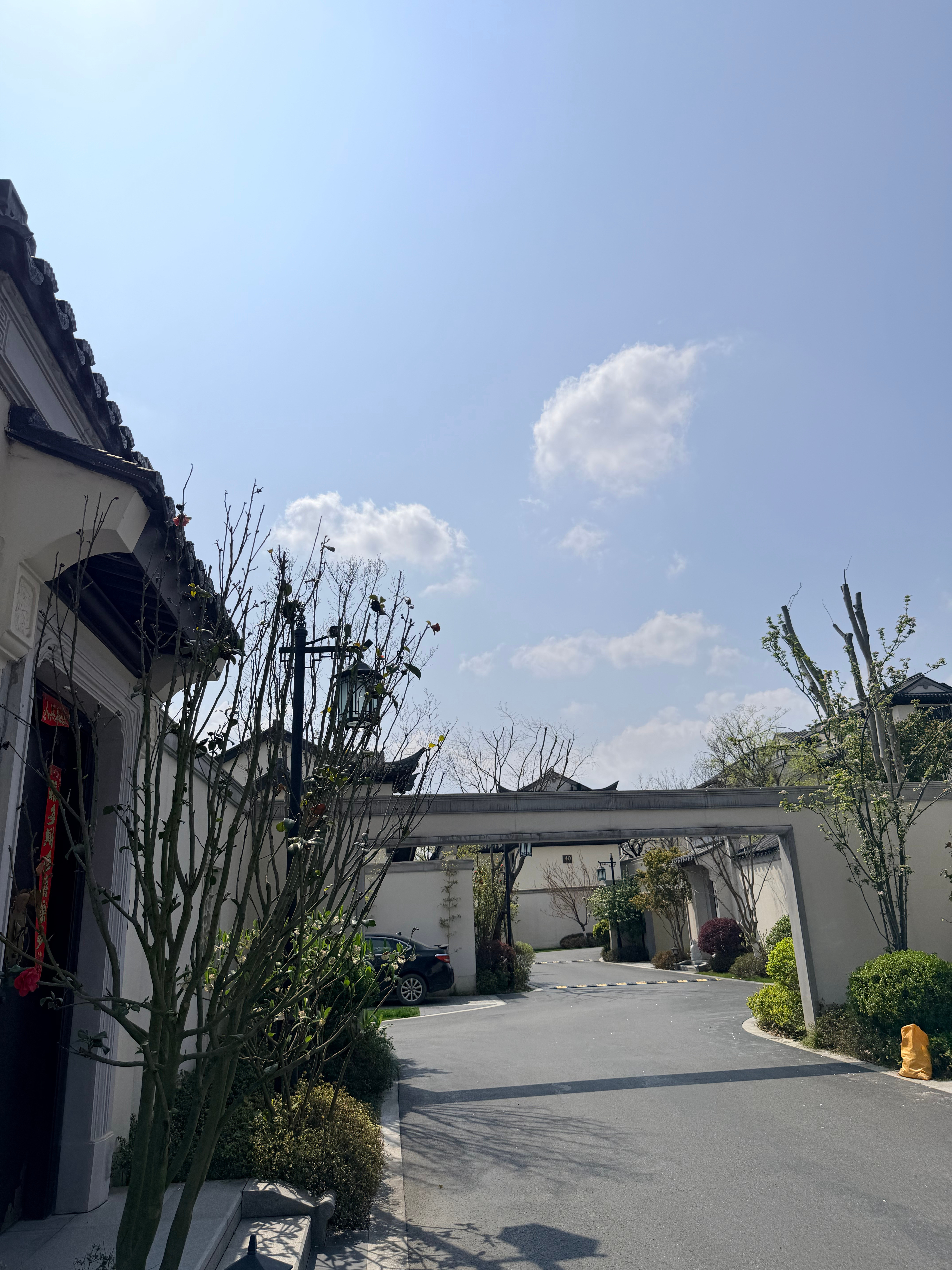 还是很喜欢大太阳的