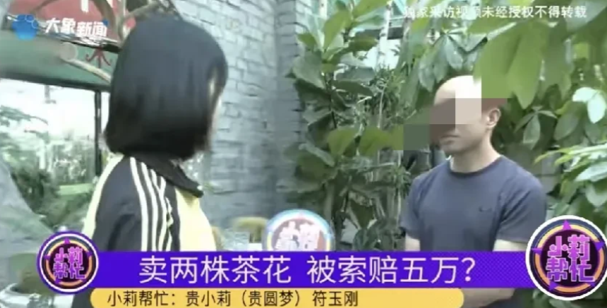 河南驻马店，一男子开花店，来了两位客人，花200元买走两盆茶花，谁知没过多久，男