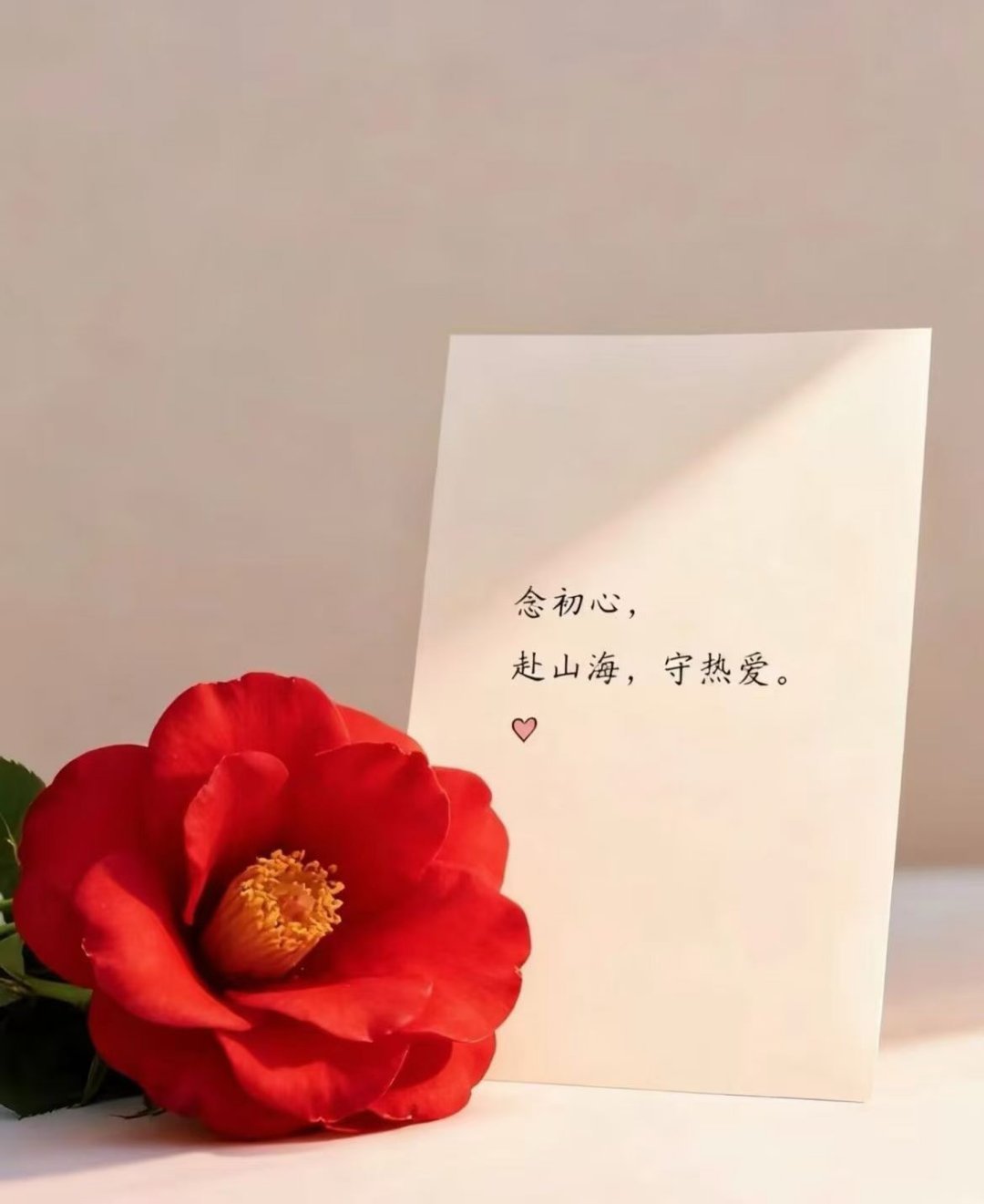 读懂生活，却依然热爱生活看穿所有，却依然向往美好