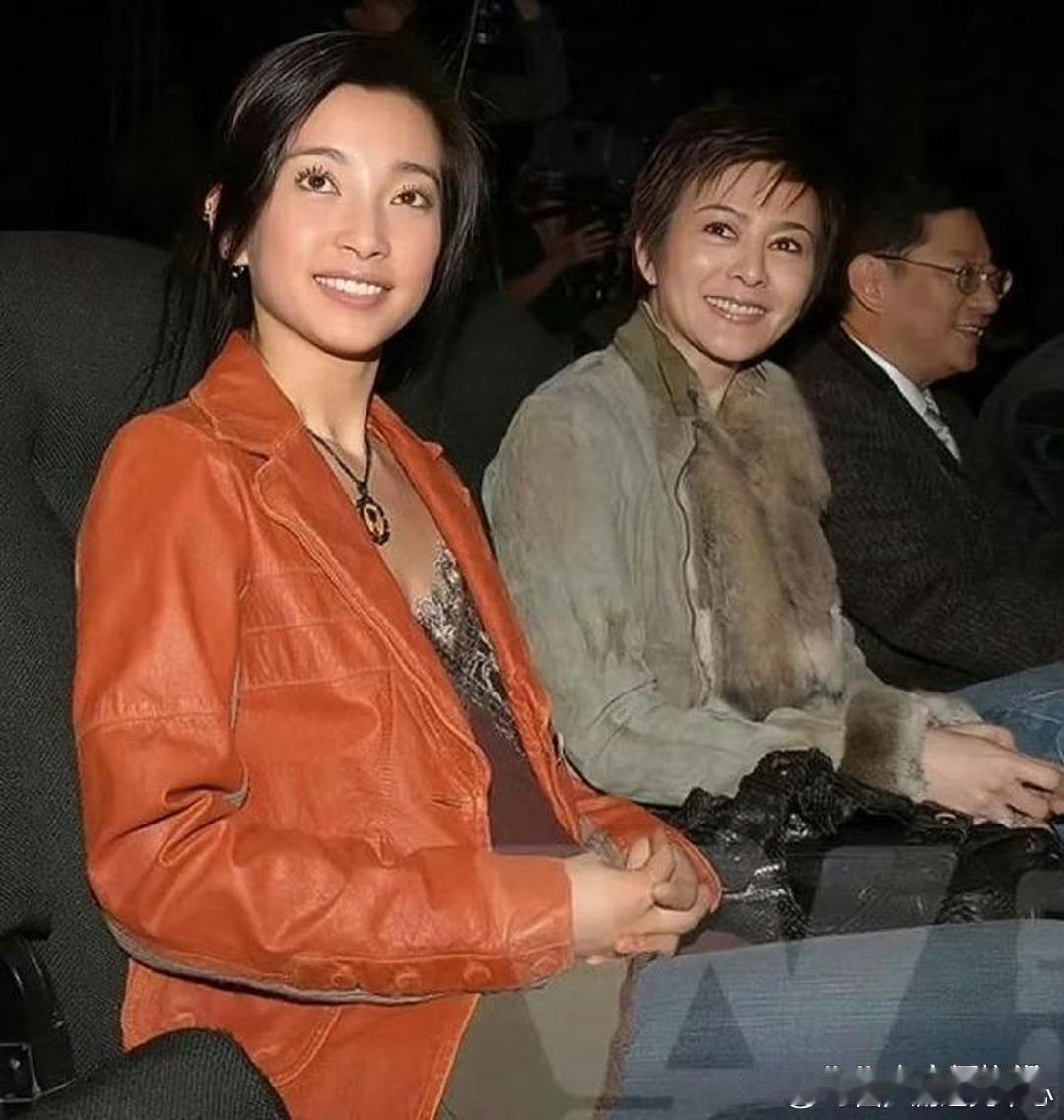 没有美颜滤镜的那个年代的关之琳、李冰冰！