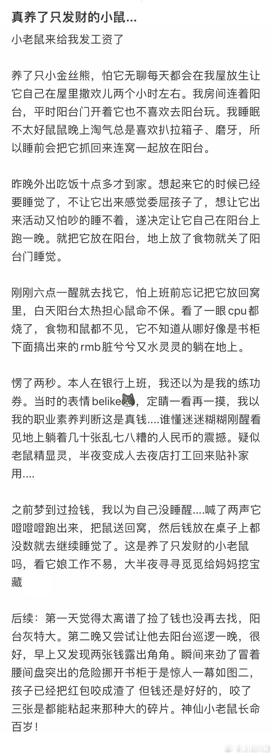 好家伙！真被她养到了发财鼠🐹​​​