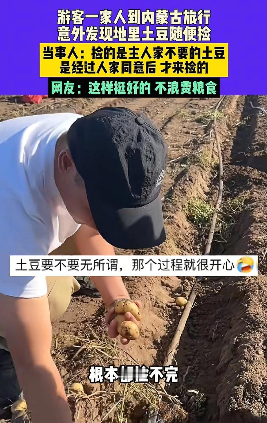 “捡不完根本就捡不完！”游客一家人到内蒙古去旅游。结果发现道旁的地里土豆随便捡。