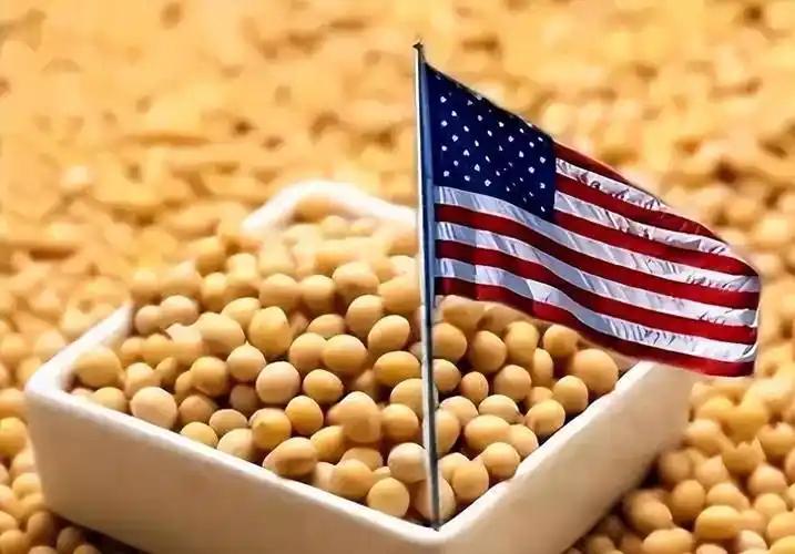 中国“大豆牌”精准点穴，特朗普被自己的关税反噬。北京未取消20%报复性关税，5月