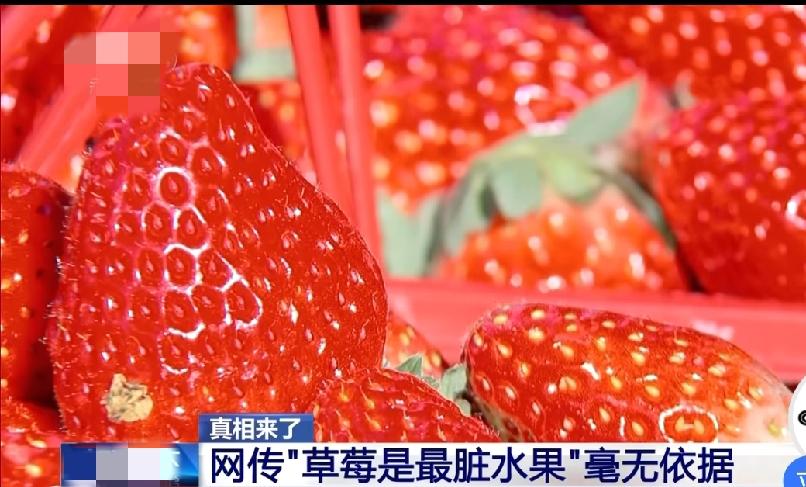 别再传了！“草莓是最脏水果”纯属谣言小伙伴们注意啦，网传“草莓是最脏水果”