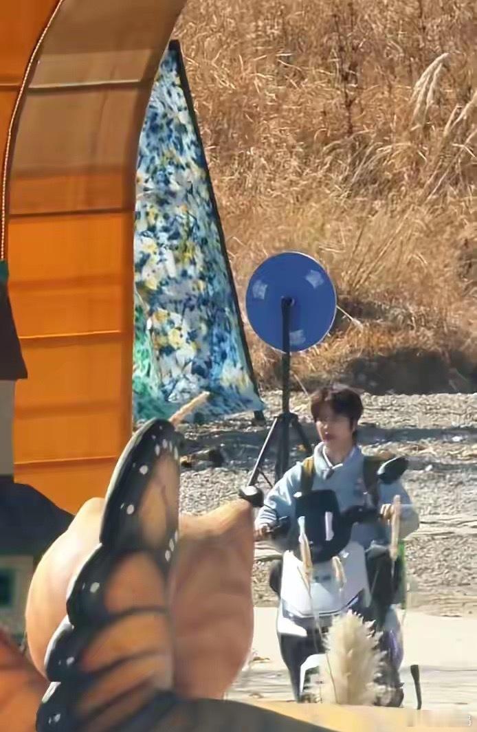 快乐老友记第三季在丽江又开始录制了，兄弟几个开着小电驴来上班了，根据每个人的状态