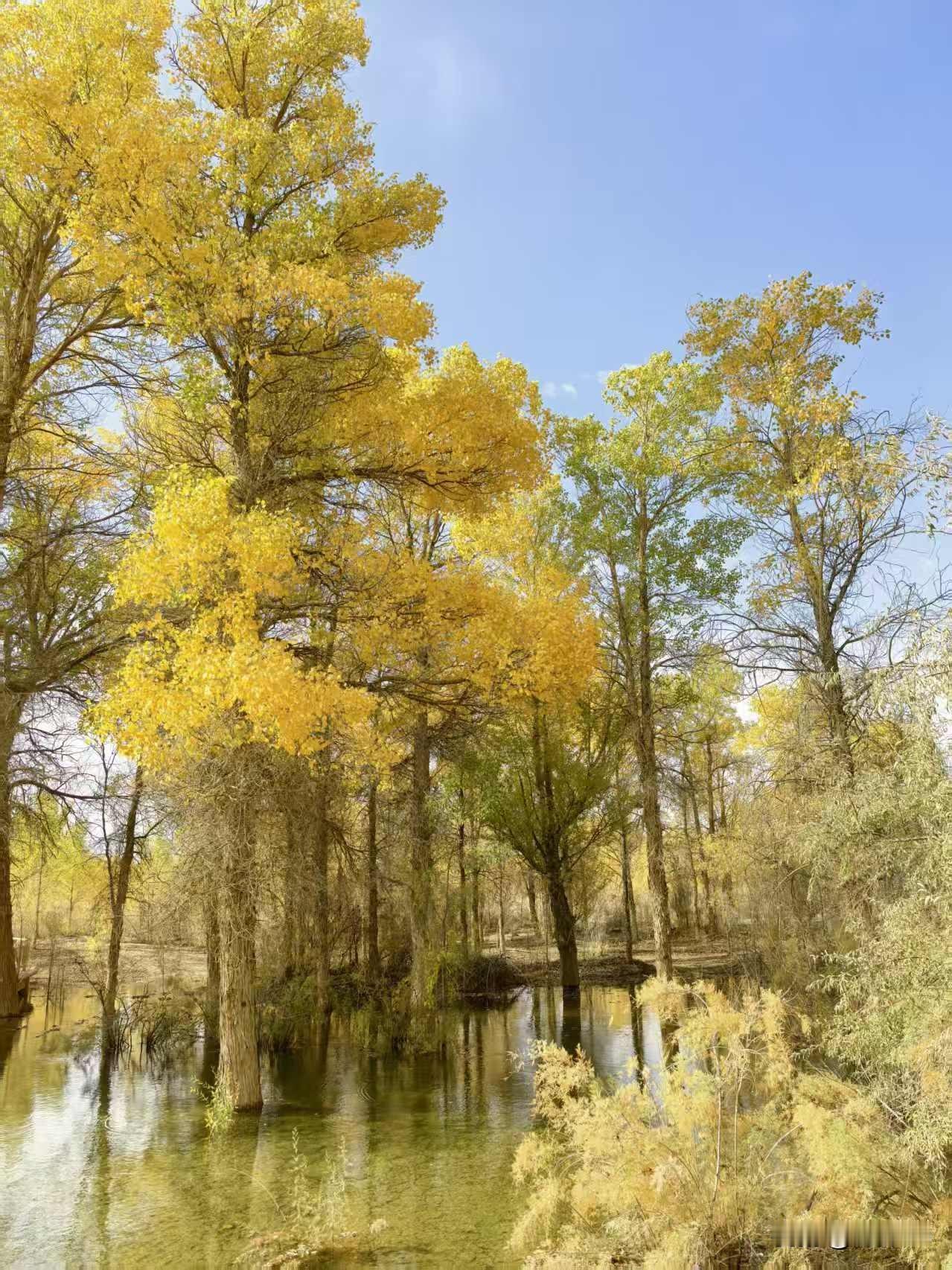 下联·夜雨润青阶夜雨：与“秋霜”对仗，同属秋日自然景象，一霜一雨、一寒一润