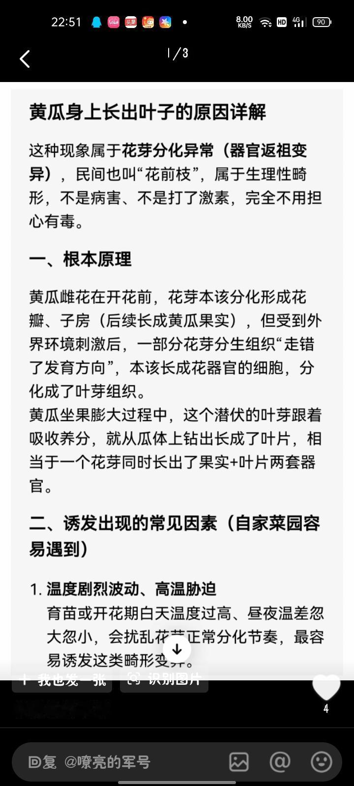 7月3日，四川广安。女子晒视频称，自家种的黄瓜上长一片叶子，从来没遇到这种情况，