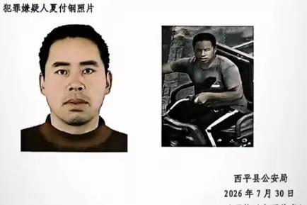 河南西平县重大刑案嫌犯落网：邻里琐事，10天逃亡，一片玉米地画上句号。谁能想
