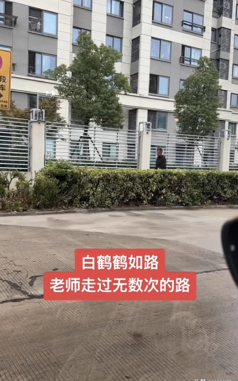 沈巍还在捡垃圾，天不亮就出门。没人再组团围着他拍了，流量退潮了。他不卖惨，不