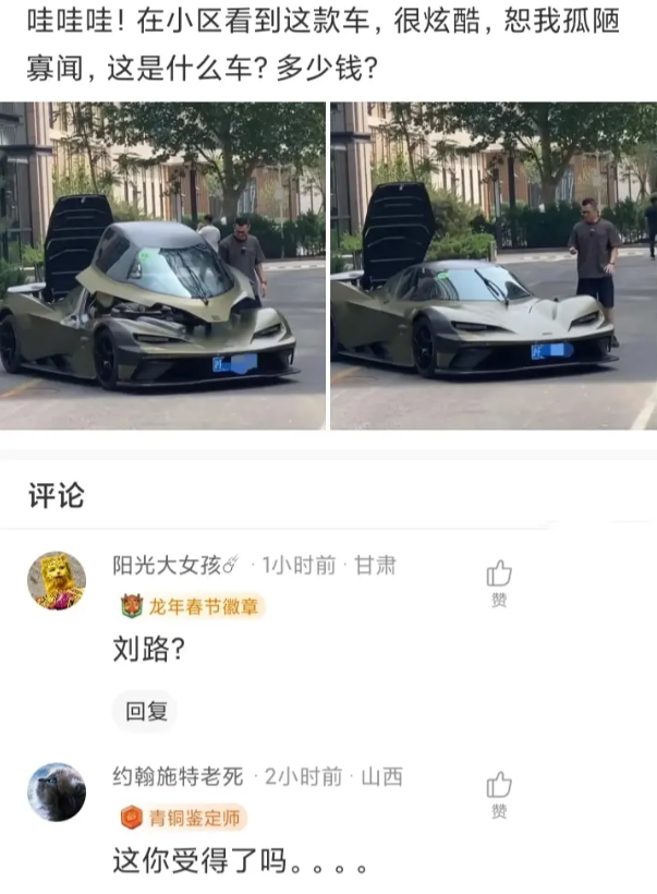 恕我孤陋寡闻这是什么车