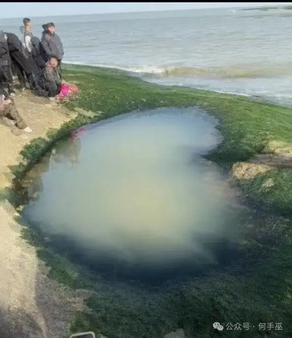 有那天我在小某书上看到了日照的爱心海，于是我来了……